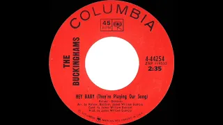 1967 HITS ARCHIVE: Hey Baby (They’re Playing Our Song) - Buckinghams (mono 45)
