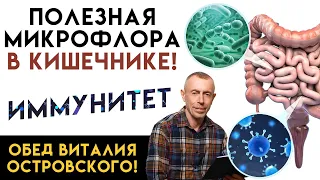 Полезная Микрофлора в Кишечнике! Иммунитет! Обед Виталия Островского!