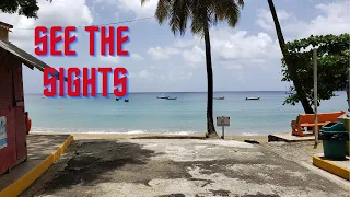 Exploring the Scenic Route: Charlotteville Tobago Road Trip