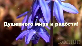 ЧУДЕСНОГО ВЕСЕННЕГО НАСТРОЕНИЯ! УДАЧНОГО ДНЯ!#музыкальная открытка#  komur