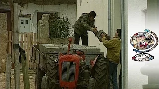 The Ethnic Serbs Wanting To Return Home To Croatia (2000)