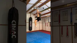 Attempting the hardest Cobra Kai kick…