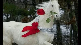 Печальная лошадь Виолетта Баша Константин Куклин