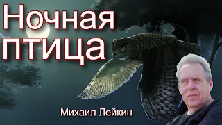 Ночная птица🎶Михаил Лейкин(cover)