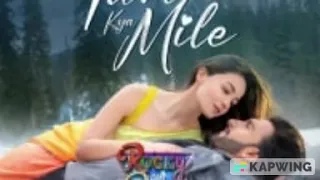 Tum Kya Mile - Rocky Aur Rani Kii Prem Kahaani ( karaoke ) || vocal free audio