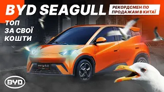 BYD Seagull - рекордсмен по продажам в Китаї та найдешевший електрокар від BYD