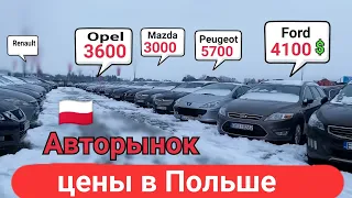 Авторынок в Польше цены с растаможкой 2023