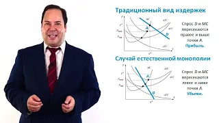 6.1.1. Искусственные и естественные монополии