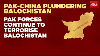 Pakistan's Balochistan Plan: 'Baloch Citizens Being Killed, Beijing Wants To Settle 500,000 Chinese'