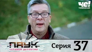 Паук | Сезон 1 | Серия 37