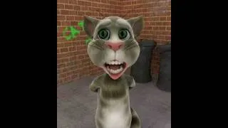 Pussy cat getting Pussy cat TalkingTom.avi