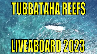 Liveaboard Trip 2023 | Tubbataha Reefs, Philippines 🇵🇭