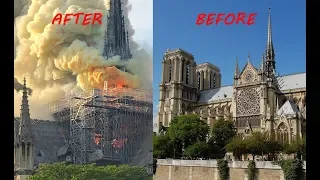 Notre Dame De Paris Cathedral 2019 video before the fire