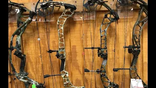 2019 Bow Battle! Hoyt vs Mathews vs PSE vs Bowtech