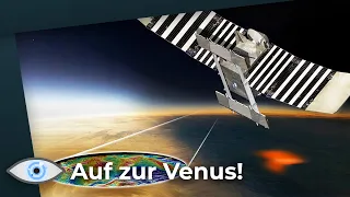 Die bedeutendste Entdeckung, die für außerirdisches Leben spricht - Missionen zur Venus