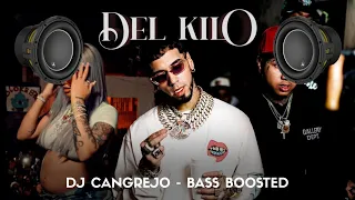 Anuel AA, Treintisiete, Yailin La Mas Viral - Del Kilo (Extreme Bass Boosted) | LLNM2