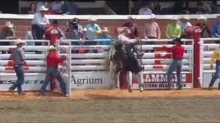 Day 1 rodeo highlight action from the Calgary Stampede -- July 4, 2014