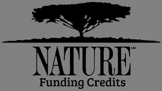 Nature Funding Credits Compilation (1982-present) (CLASSIC)