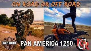 Pan America 1250 for ON ROAD or OFF ROAD ? GRR #panamerica1250