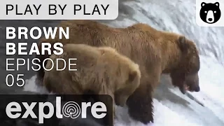 Brown Bear Play By Play - Ranger Mike Fitz - Katmai National Park - Episode 05