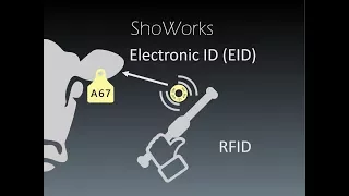 Livestock Identification using RFID and EID ear tags with ShoWorks