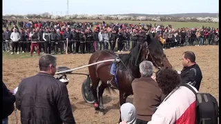 Todorovden v Staro Orqhovo 2019 (1)