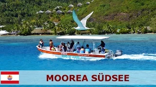 Moorea - Französisch-Polynesien