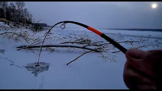 МОНСТР ИЗ ПОД КОРЯГИ НЕ ЛЕЗЕТ В ЛУНКУ!! Трофейный судак !! Первый лед на Оби. Рыбалка 2021-2022