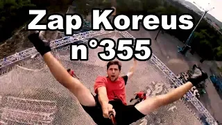 Zap Koreus n°355