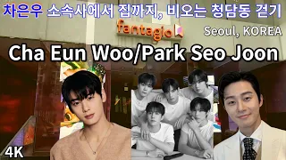 Cha Eun-woo, Park Seo-joon / Walking in rainy Cheongdam-dong / Moonbin / Seoul, KOREA / 4K