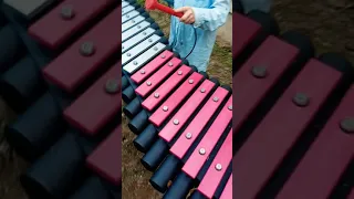 xylophone