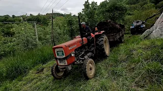 Vuča stajnjaka u novu njivu sa 5 traktora! Vuča stajskog đubreta 2023-PRVI DEO