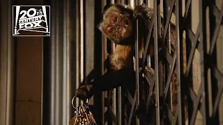 Night at the Museum | "Monkey Stole Your Keys" Clip | Fox Family Entertainment