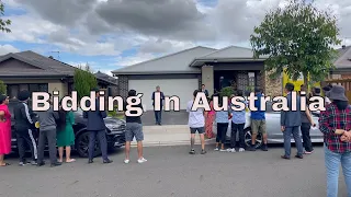 First Time Ever Attended A Sydney Auction /Bidding in Australia / Joyride