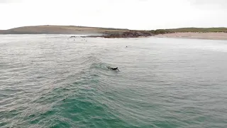 Constantine Bay surfing - Cornwall 2019