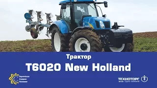 Трактор New Holland Т6020 Delta