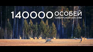 Охотничий туризм в Курганской области!