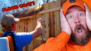 Is This Too Much Stain or Just Enough? - Fence Expert Reacts