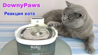 КОТ тестирует ФОНТАН поилку / реакция кота / cat and fountain