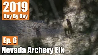 Nevada Bugle Fest | 2019 Nevada Elk with Scott Jones (Ep. 6)