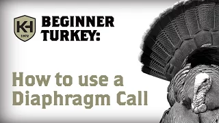 How to use a Diaphragm (Mouth) Call: Turkey Calling Tutorial for Beginners