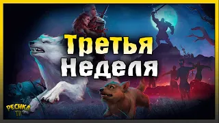 ПОЛНЫЙ ОБЗОР ЗАДАНИЙ 3 НЕДЕЛИ! БАГРЯНАЯ ОХОТА 10! Grim Soul: Dark Fantasy Survival