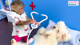 Doctor BiBi takes care of friends