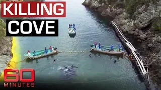 Exposing Japan's dolphin killing cove | 60 Minutes Australia