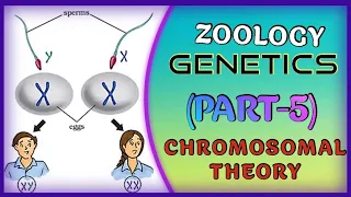 ZOOLOGY GENETICS (PART-5)//12th CLASS// +2 SCIENCE// NCERT// CBSE// CHSE// NEET // OUAT// AIIMS