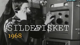 SILDEFISKET - 1968. Fiskerne samler seg der de forventer at silda vil komme.