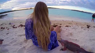 SWIMMING WITH PIGS, SHARKS, STINGRAYS & FEEDING IGUANAS IN BAHAMAS