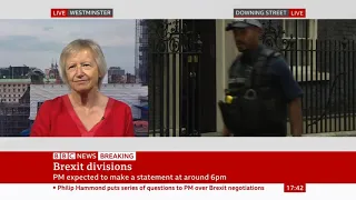 Brexit divisions - Jill Rutter, BBC News