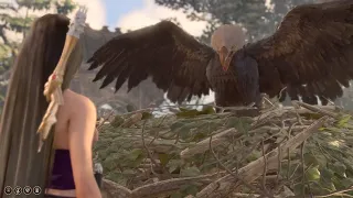 Baldur's Gate 3 | Animal Speaking |Anicent Giant Eagle