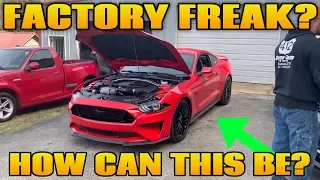 How Underrated is the 2018-2019 Mustang GT from the Factory on a Dyno?